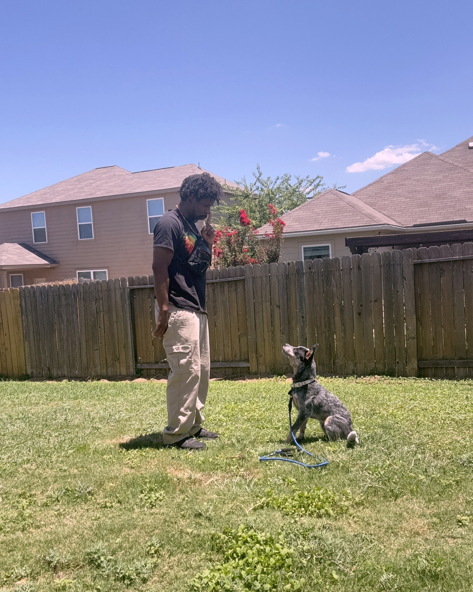Trainer working with a dog during an outdoor backyard training session