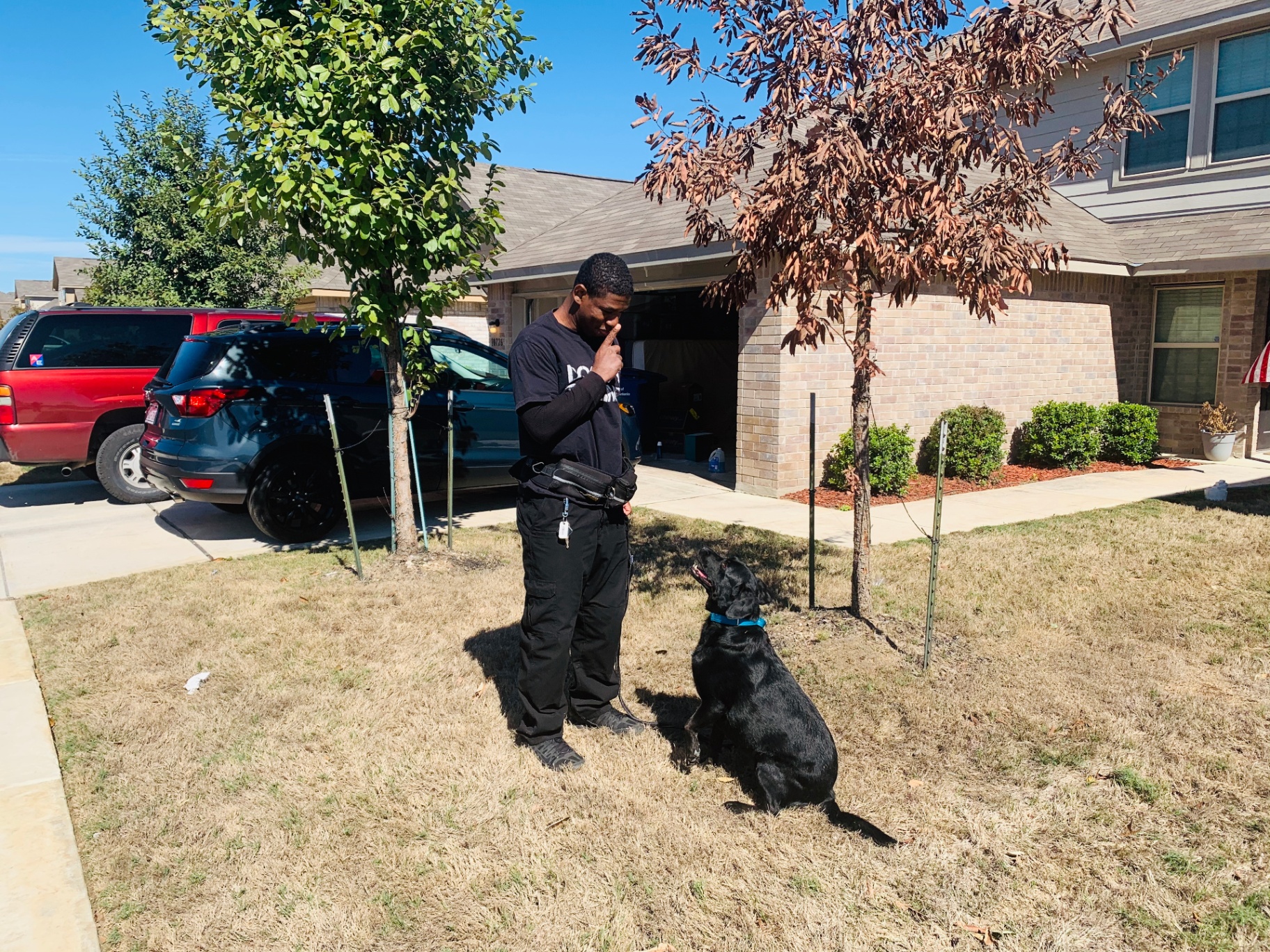 Owner practicing handling skills with their dog