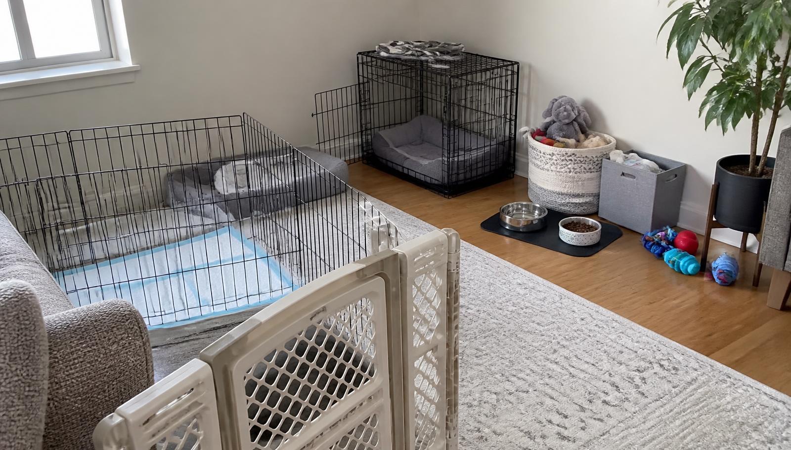Prepared puppy area in a living room with a wire crate, soft bedding, exercise pen, water and food bowls, chew toys and a baby gate, with no dog present