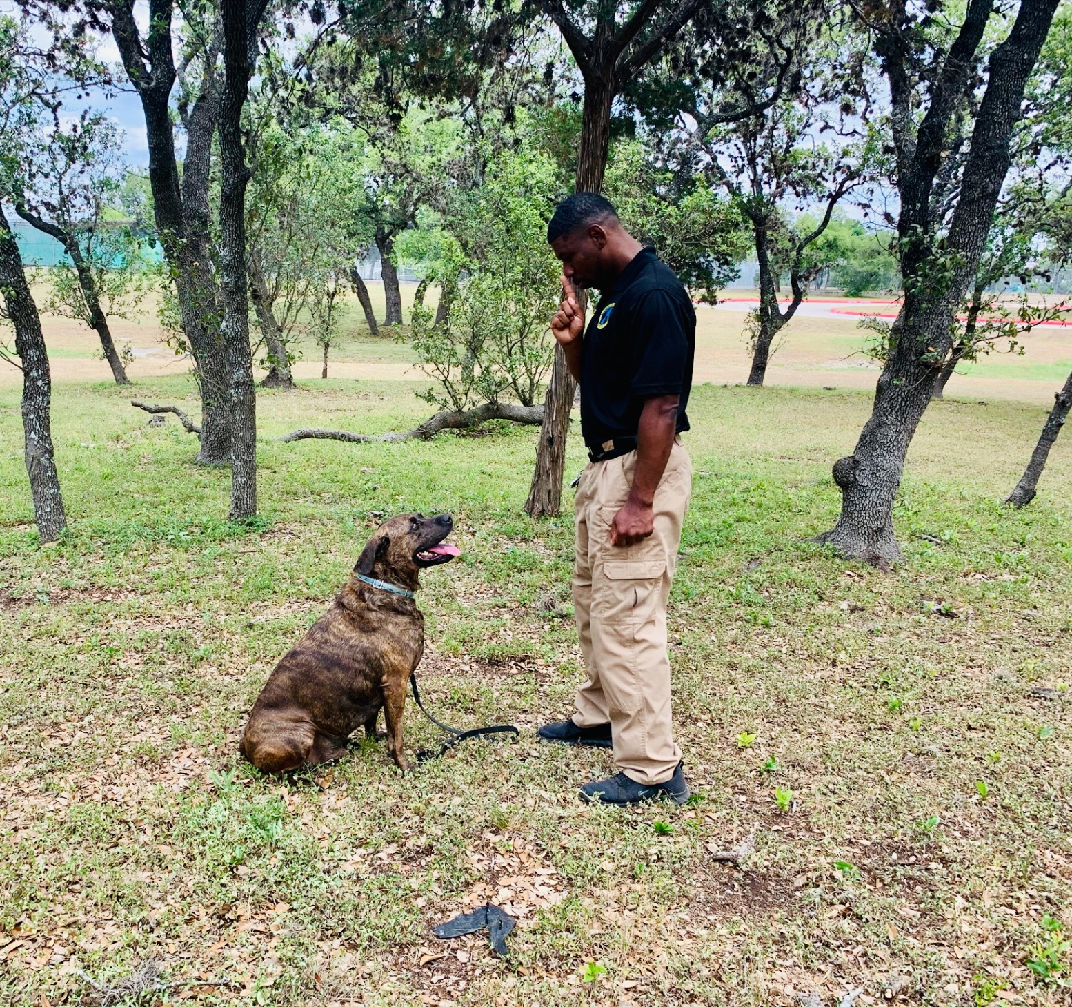 Jamaal guiding a dog through a sit during an outdoor training session